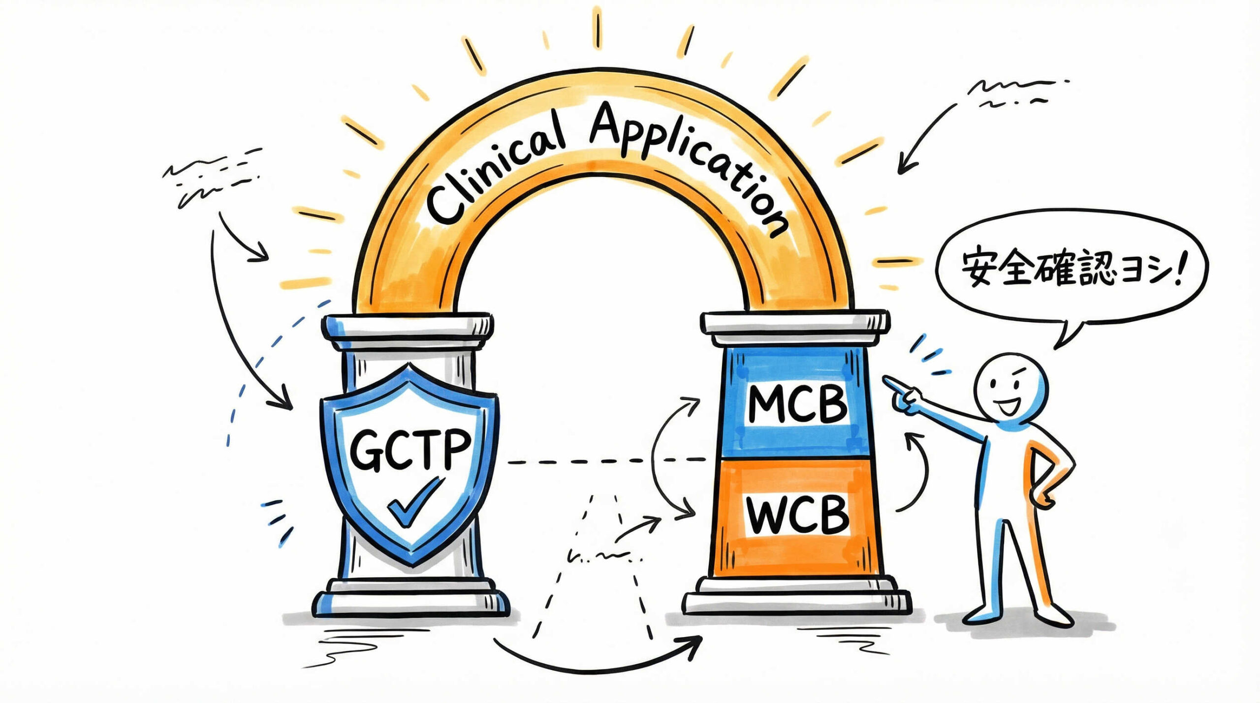 臨床応用を前提としたiPS細胞ストック構築の結論はGCTP適合とMCB/WCB体制の確立